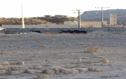 الأغنام تهاجم مقابر #جبة المهملة والأهالي "للمجلس البلدي إن سكتوا ماسكتنا"